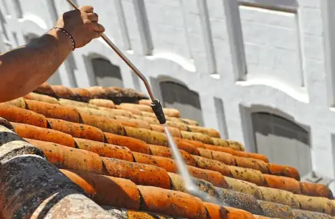 Nettoyage de toitures - Castelnau-Barbarens